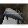 10kg Net Weight Frozen Pacific Mackerel Fillets